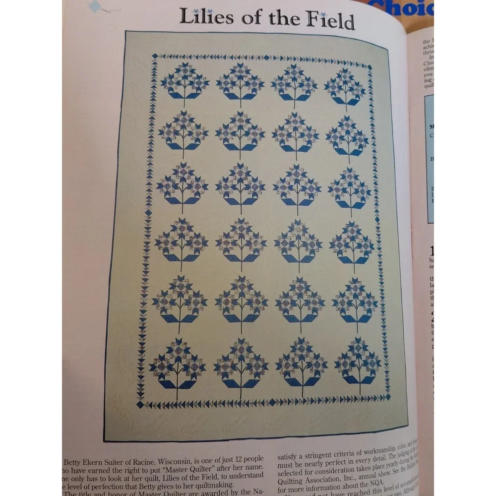 Lot of 5 Vintage Quilt Magazines Quiltmaker & Quilter's Newsletter 1994 Patterns